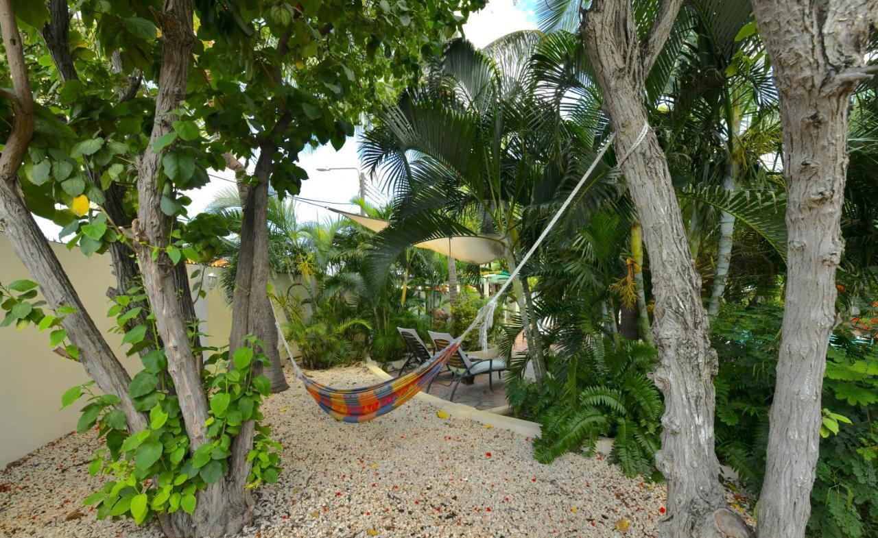 Wonders Boutique Hotel Oranjestad Luaran gambar