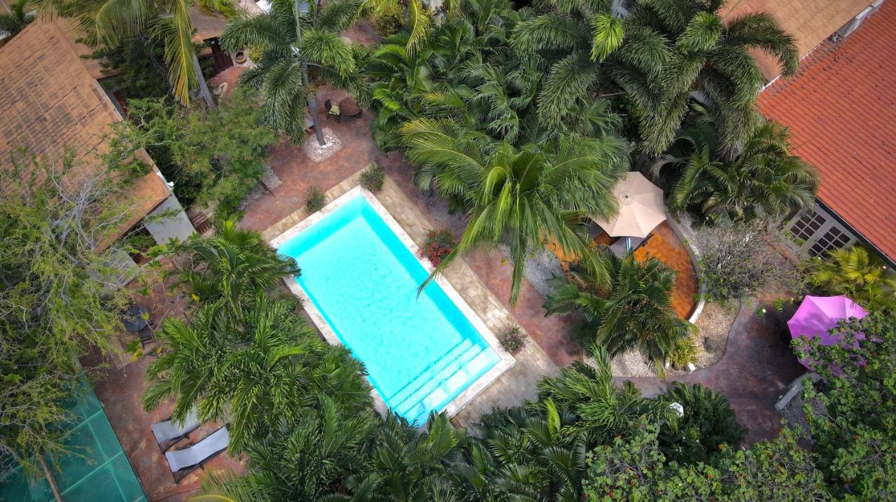 Wonders Boutique Hotel Oranjestad Luaran gambar