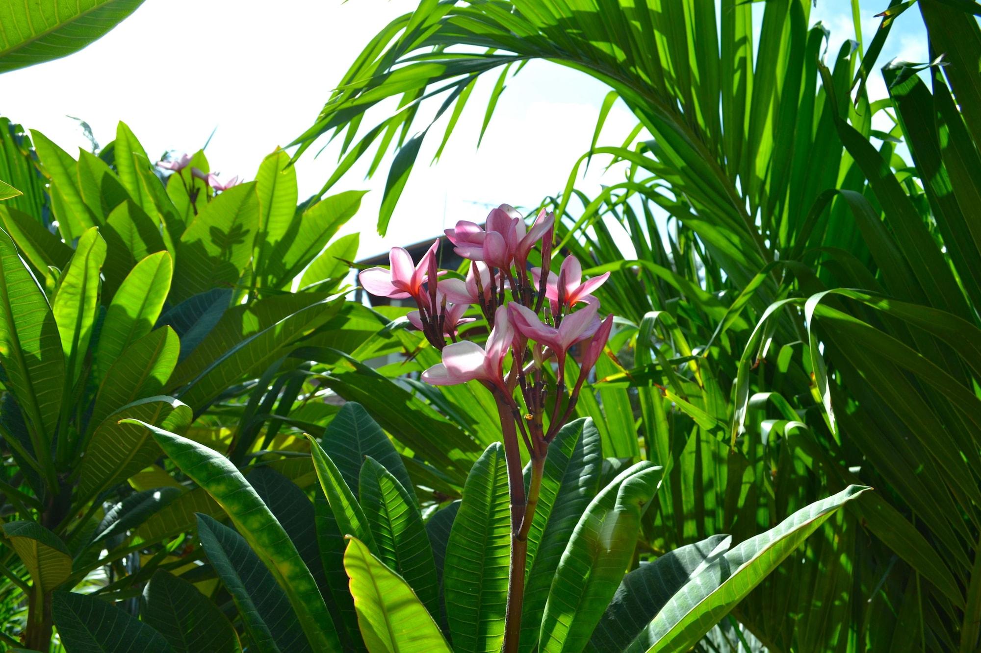 Wonders Boutique Hotel Oranjestad Luaran gambar