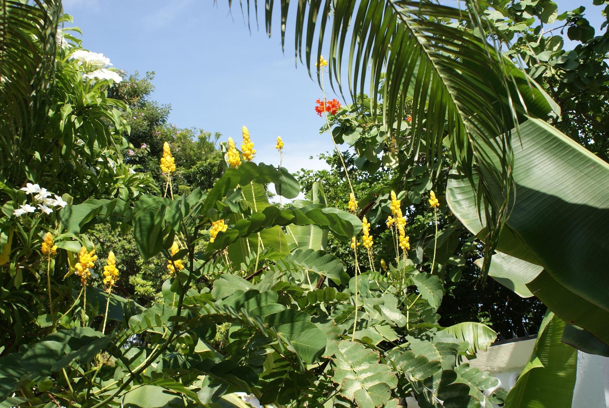 Wonders Boutique Hotel Oranjestad Luaran gambar