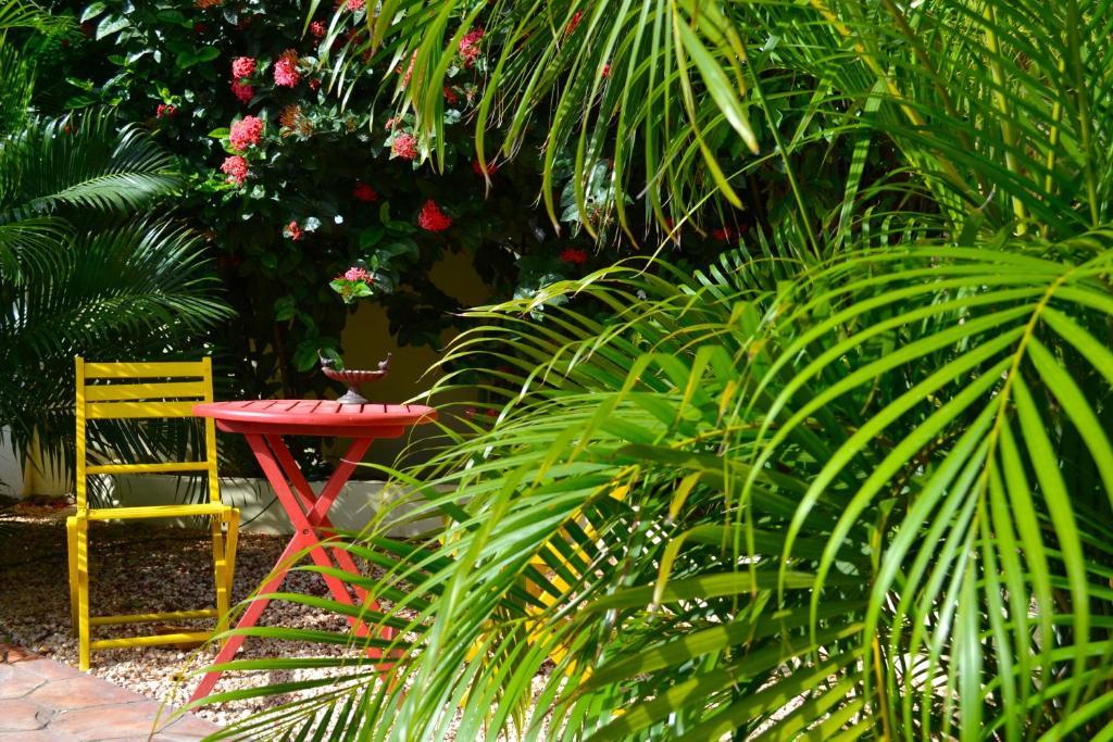 Wonders Boutique Hotel Oranjestad Luaran gambar